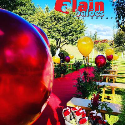 Decoração De Balões Casamento Rural Alain Bales